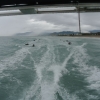 Force Recon Course 2015_077